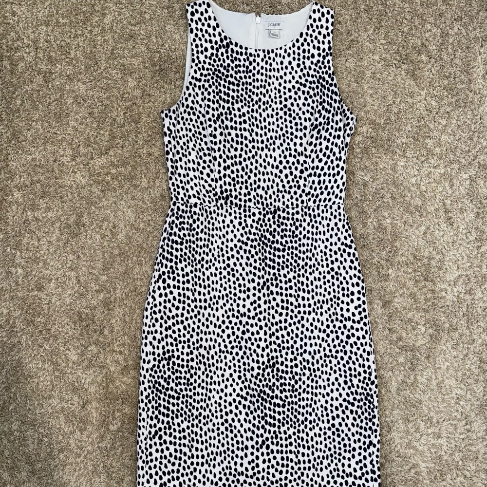 J Crew Factory Shift Dress 2